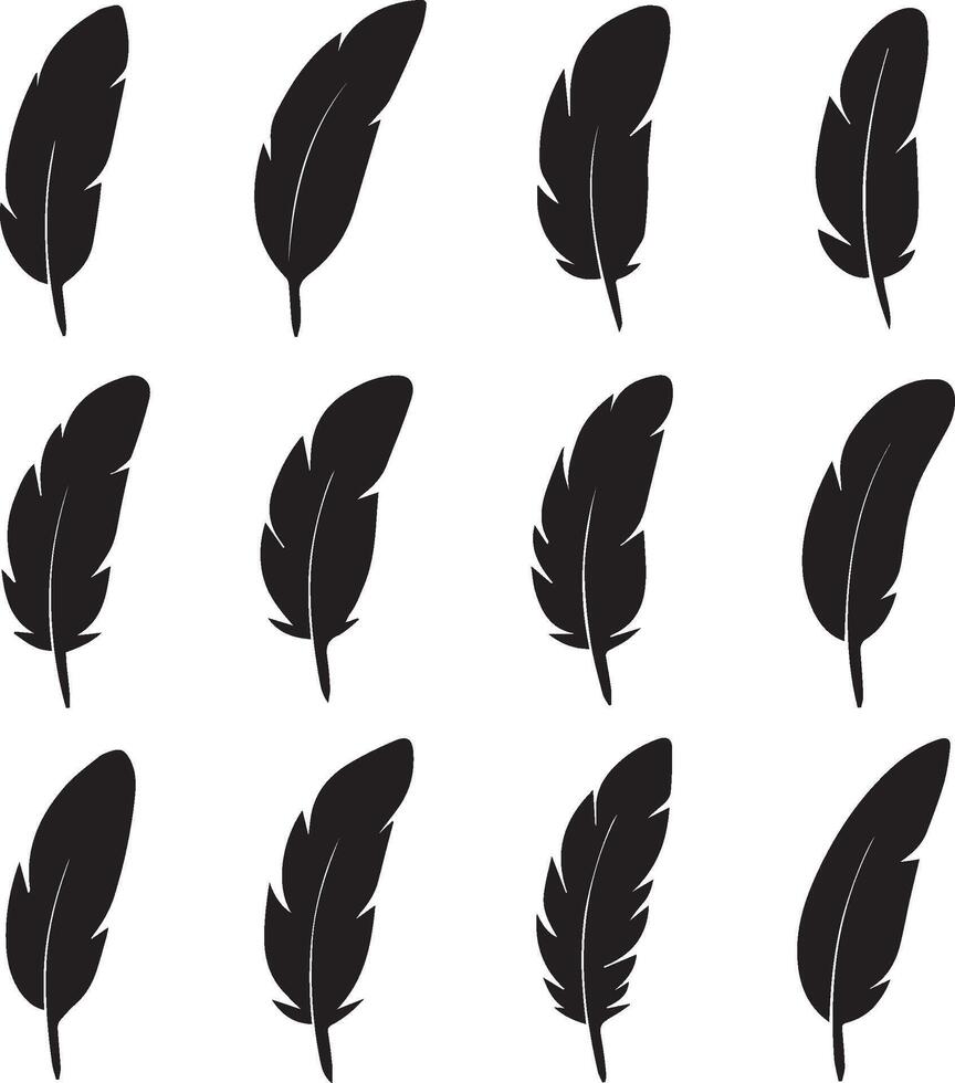 set of feathers vector