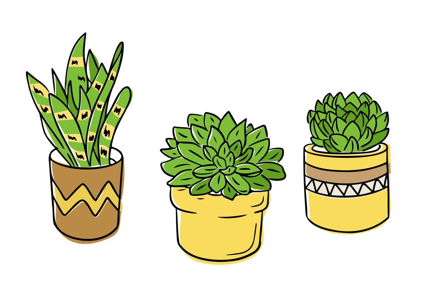 Hand drawn set of three potted succulents in decorative containers. Botanical representing indoor greenery, minimalism, and eco-friendly lifestyle vector