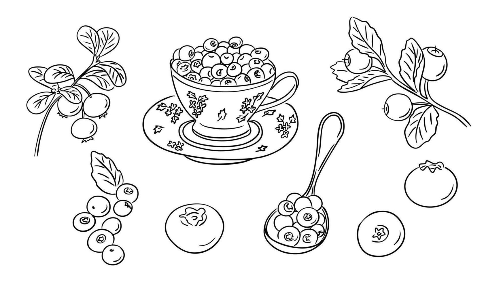 Hand drawn blueberry set with cup, spoon, and branches of berries in black outline style. Botanical food illustration representing healthy eating and natural ingredients vector