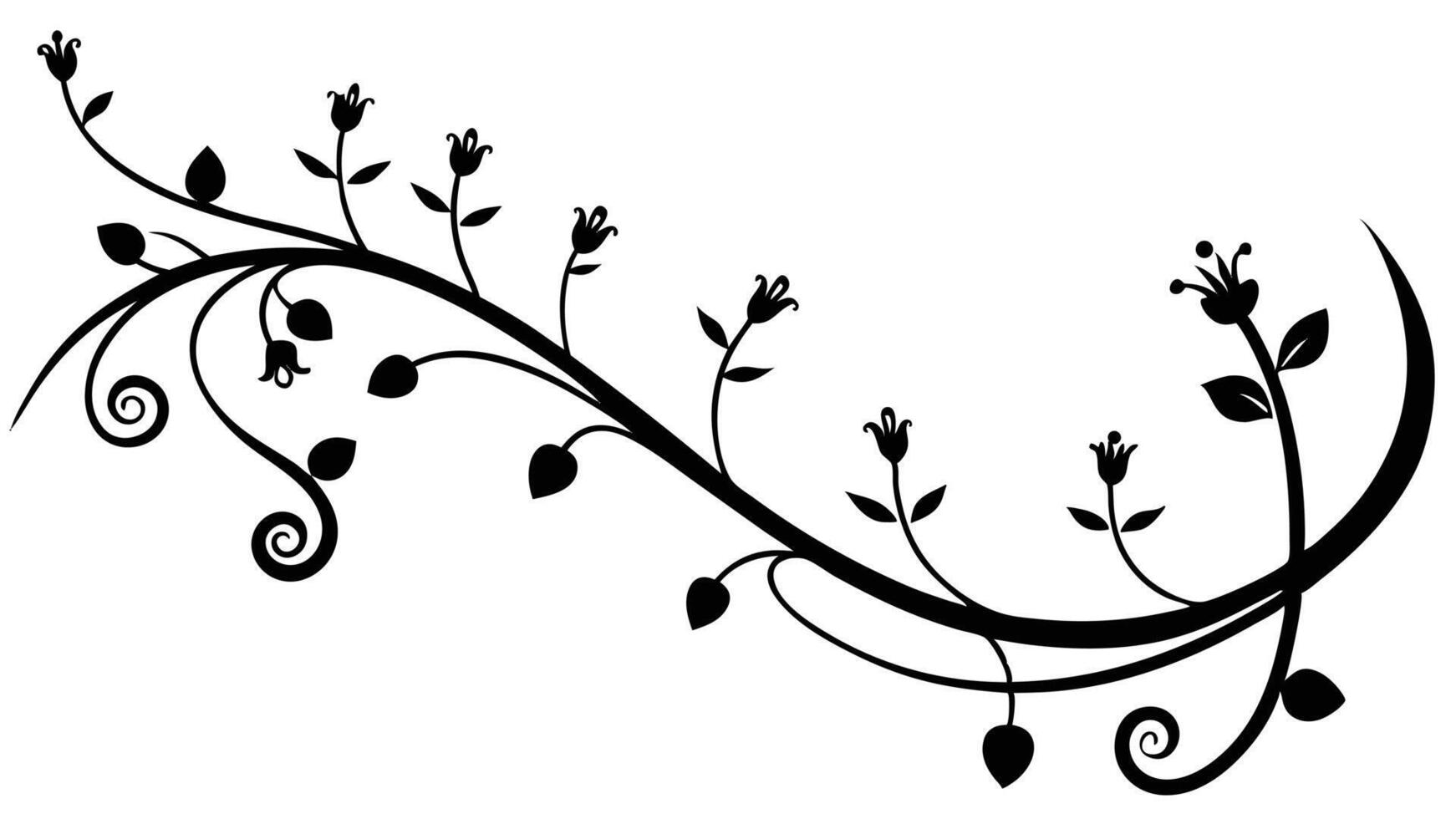 Elegant Floral Illustration With Vines And Blossoms vector