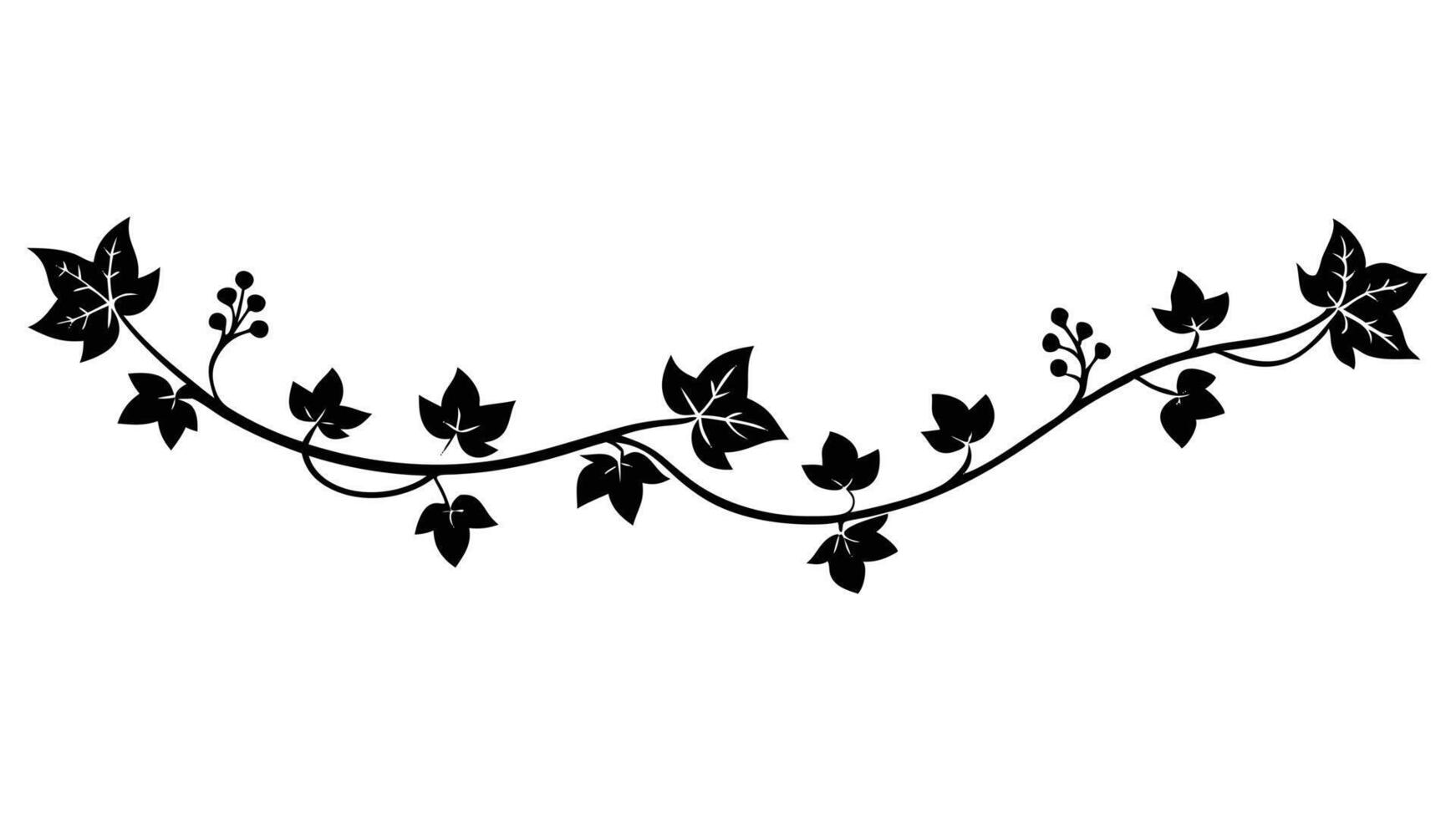Black Ivy Vine Border Illustration Design Element vector
