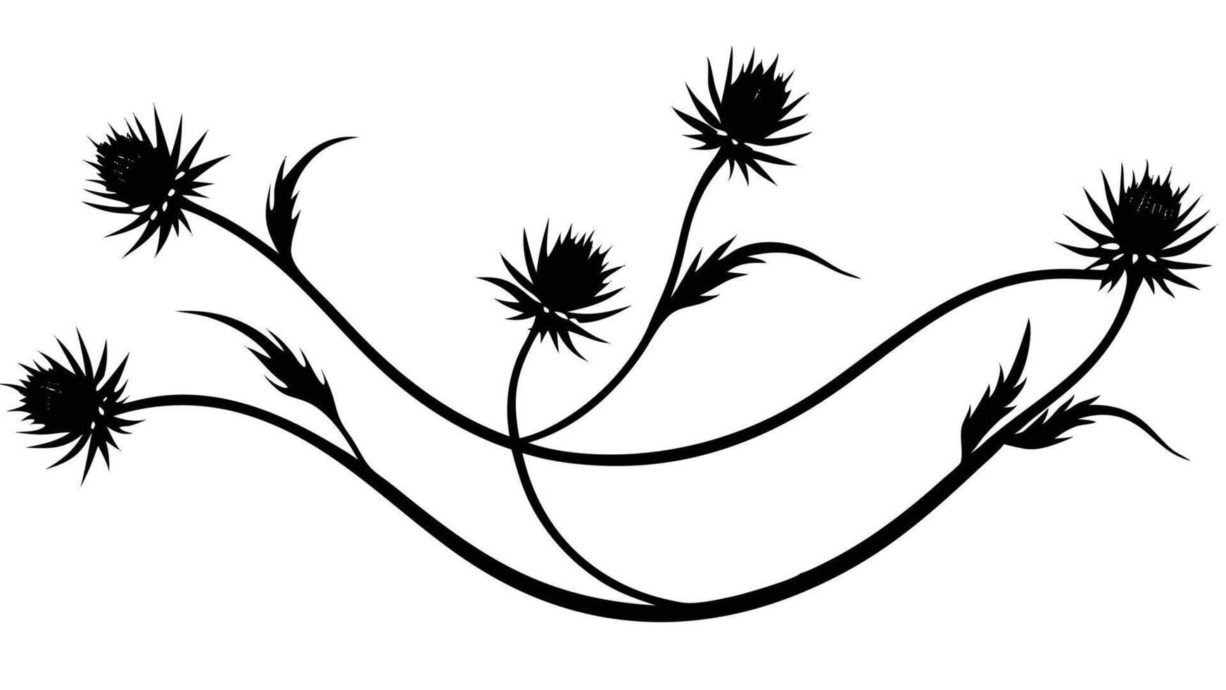 Thistle Flower Silhouette Elegant Design Illustration vector