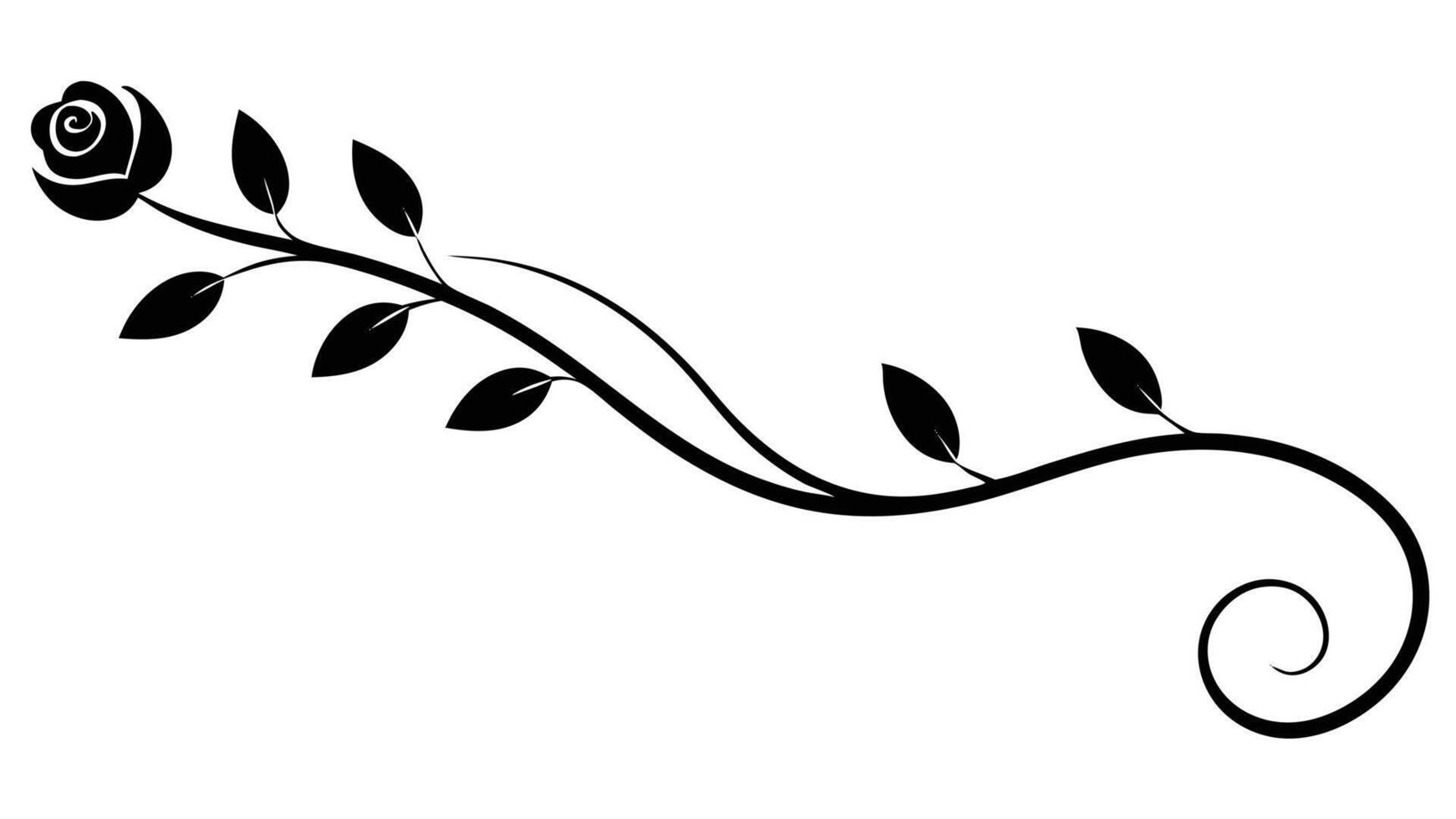 Rose Vine Swirl Black And White Floral Design vector