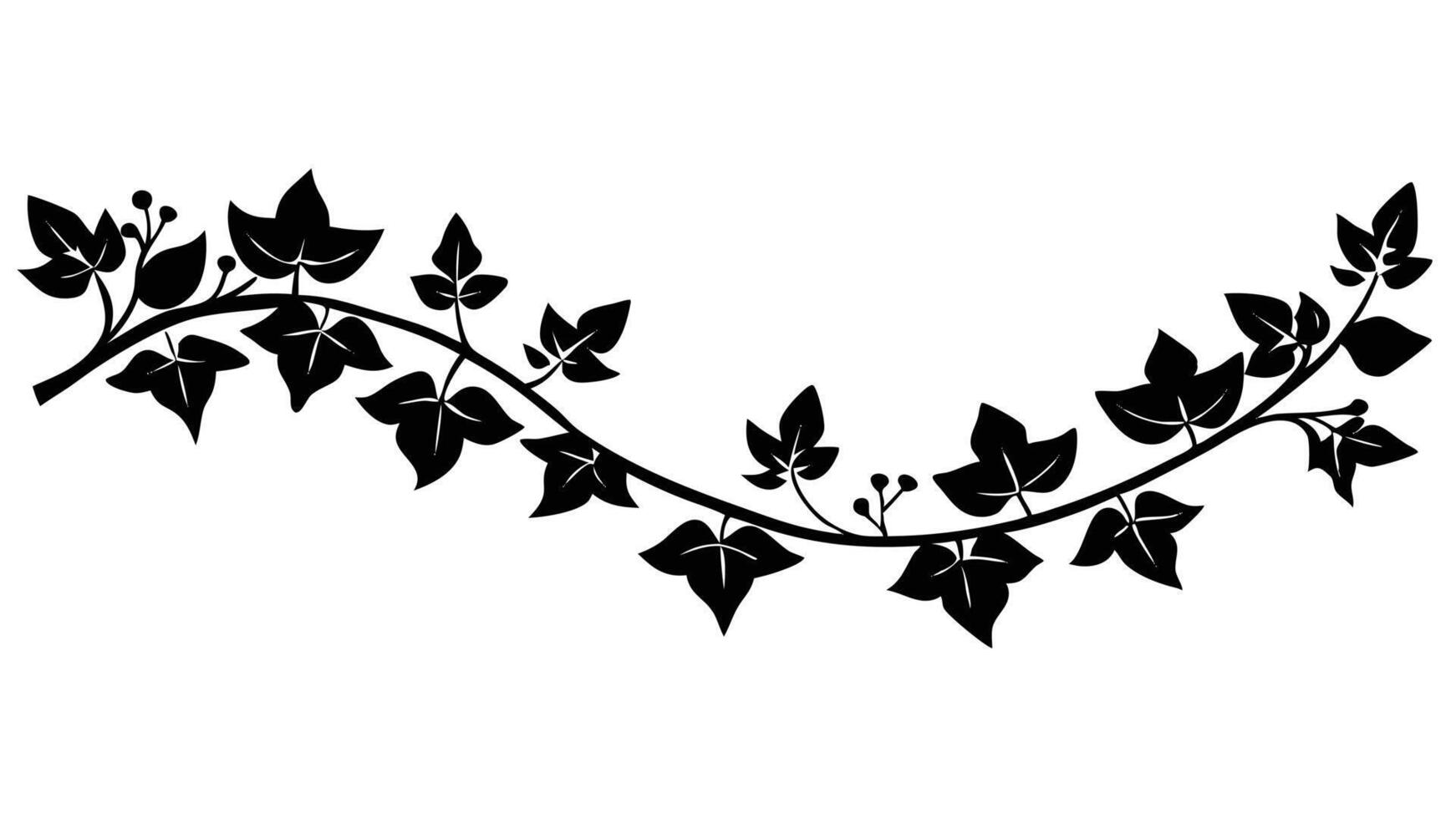 Black Ivy Leaves Branch Illustration Design On White Background vector
