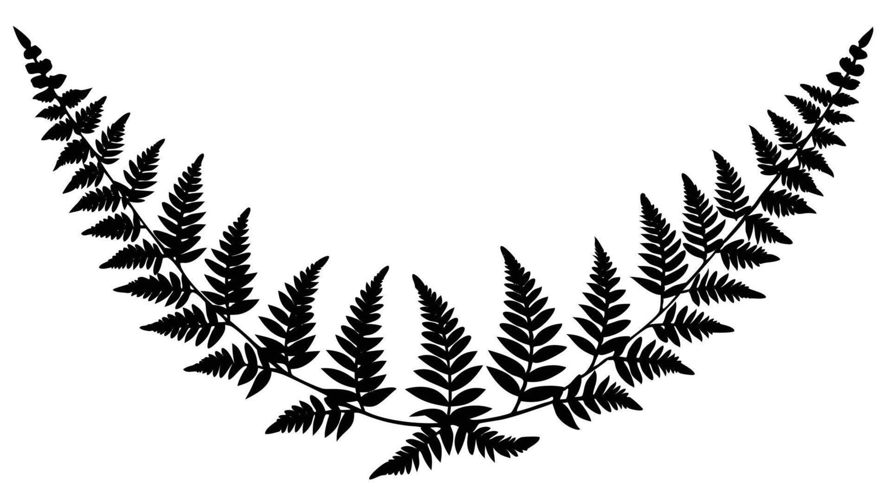 Fern Fronds Silhouette Border Design Isolated On White vector