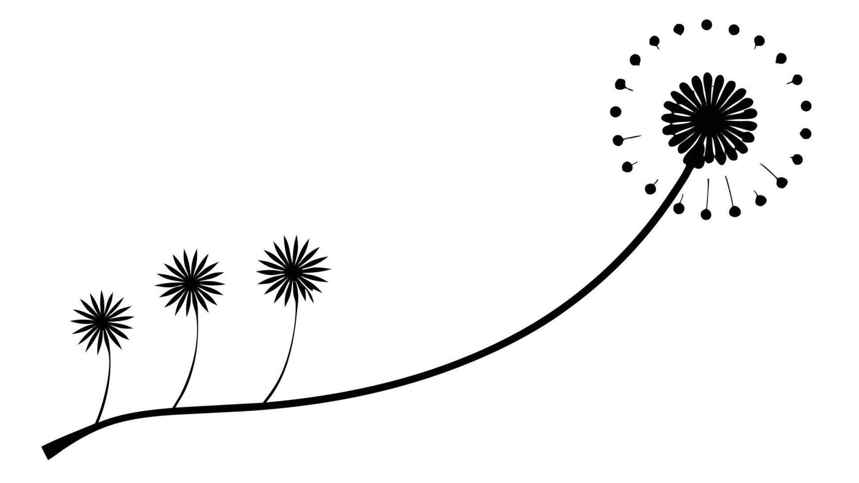 Dandelion Seed Head Illustration Black And White Minimalist vector