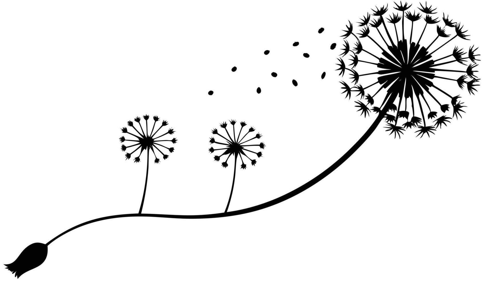Dandelion Seed Heads Black Silhouette With Blowing Seeds vector