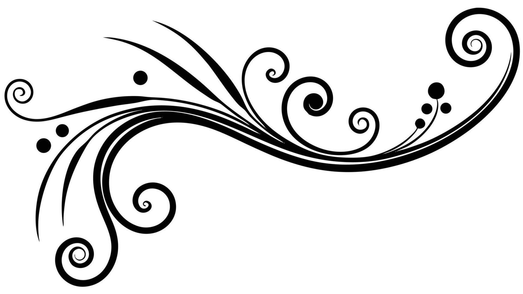Black Swirl Flourish Floral Decoration On White Background vector