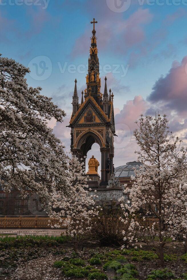 The Albert Memorial in London stands beneath a sunset sky, featuring a golden statue of Prince Albert and framed by blooming white trees in spring. photo