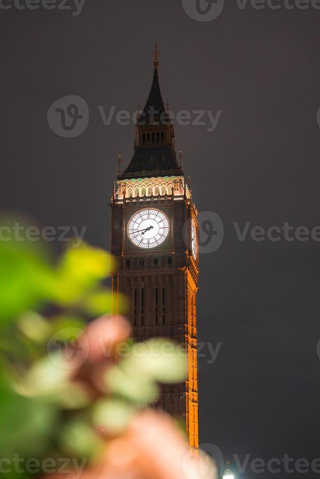 Big Ben clock tower in London glows brightly at night, showcasing its Gothic Revival design. Out of focus greenery adds contrast in the foreground. photo