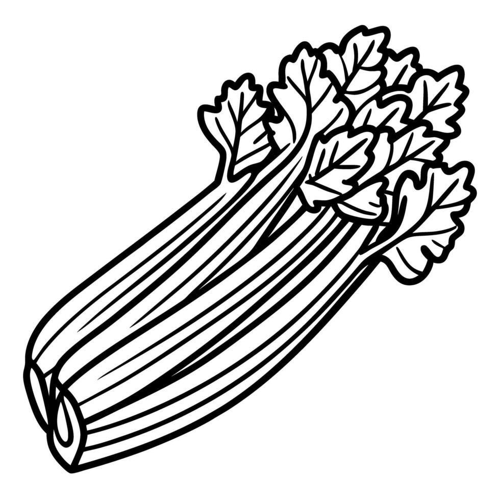 celery illustration black and white drawing, healthy food, vegetable, nutrition, diet concept vector