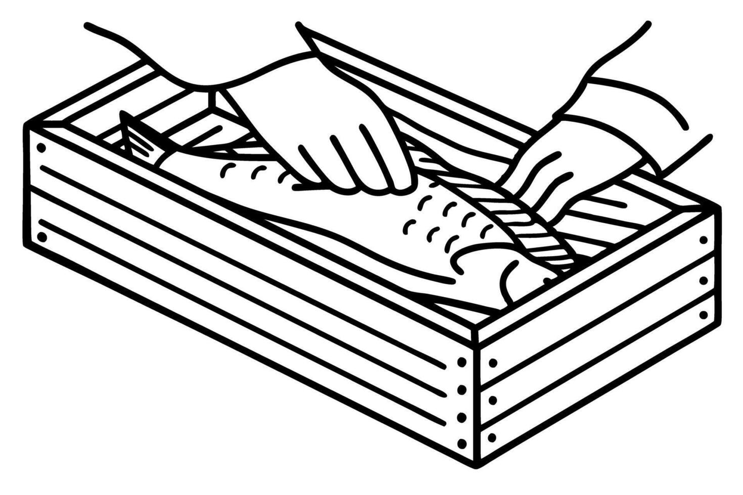 Hands packing fresh fish in wooden crate for culinary preparation vector