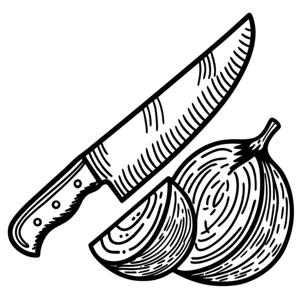 Chef's knife and sliced onion illustration cutlery and cooking ingredients design art vector