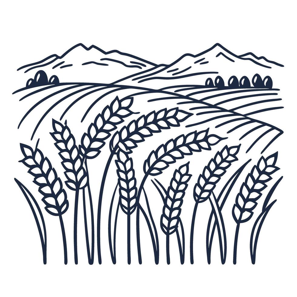 Wheat field outline with mountains in background harvest and agriculture scenery vector