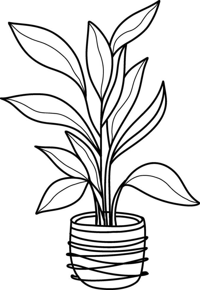 Ficus houseplant growing in pot vector