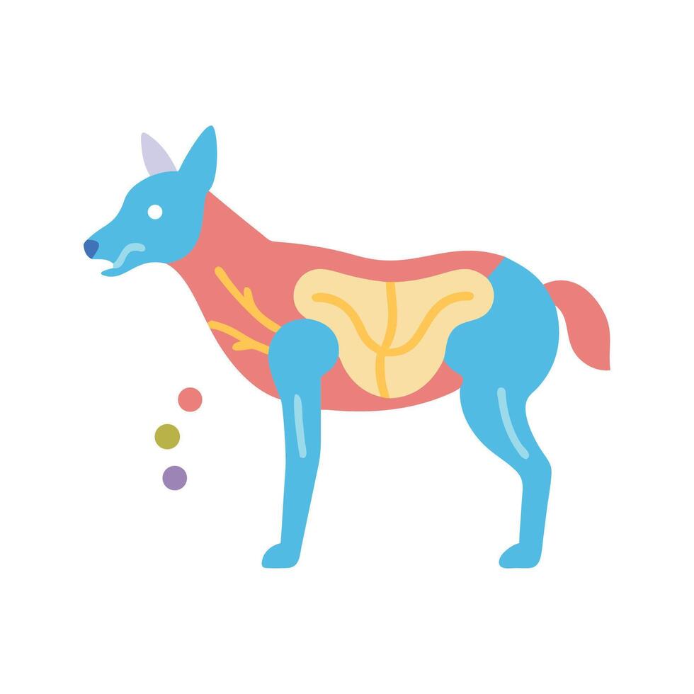 Colorful cartoon diagram of a dogs anatomy vector