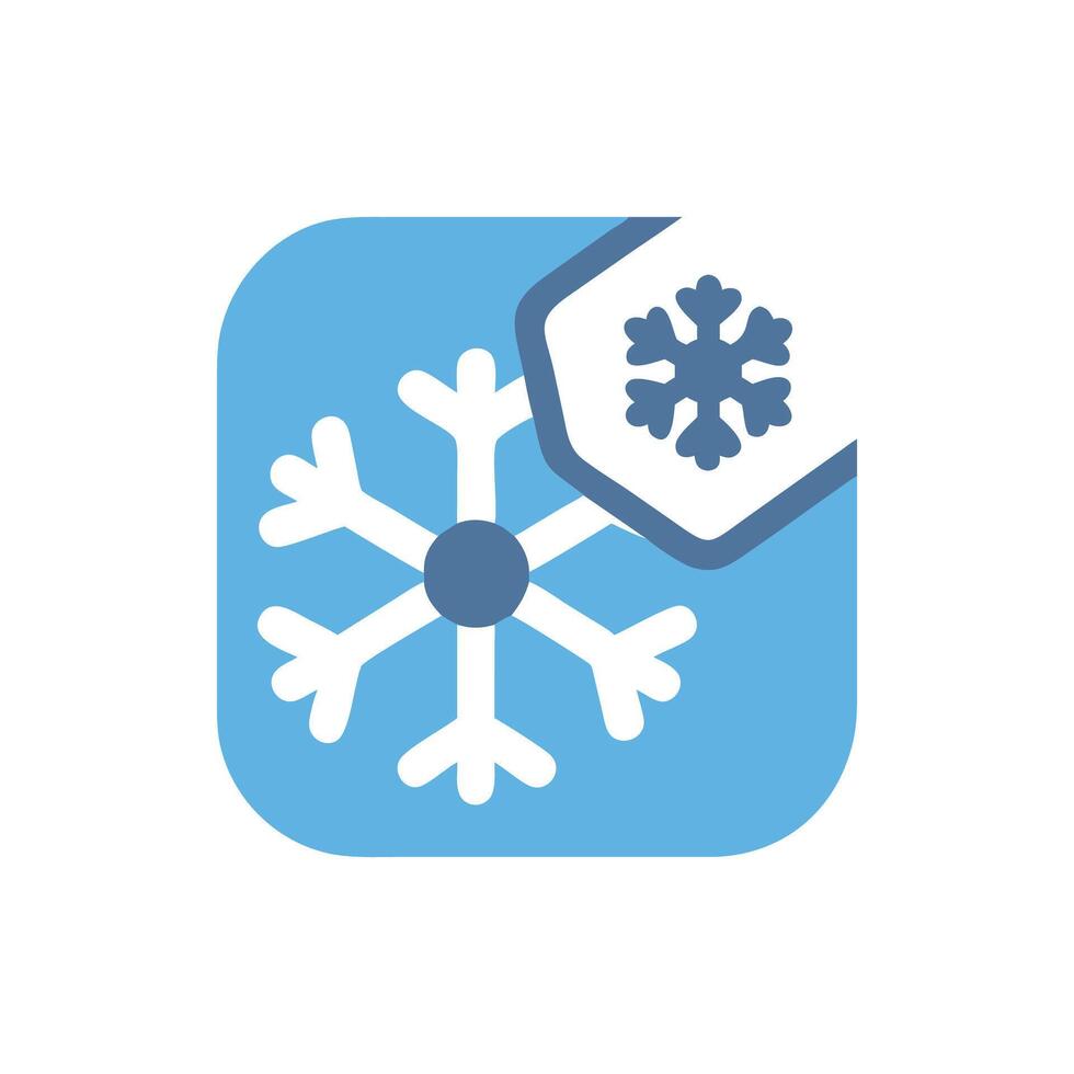 Winter snowflake badge icon design for graphic elements vector