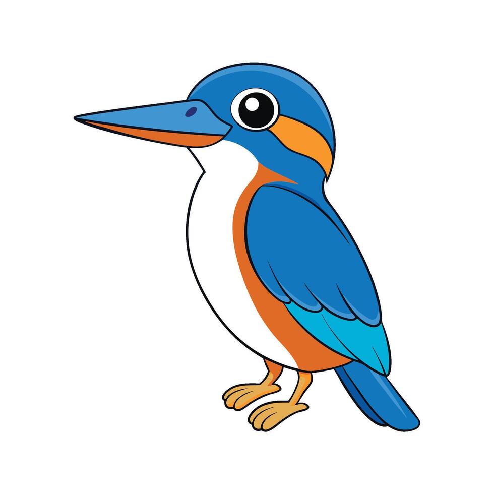 Cartoon Kingfisher Bird Illustration with Colorful Details Isolated vector