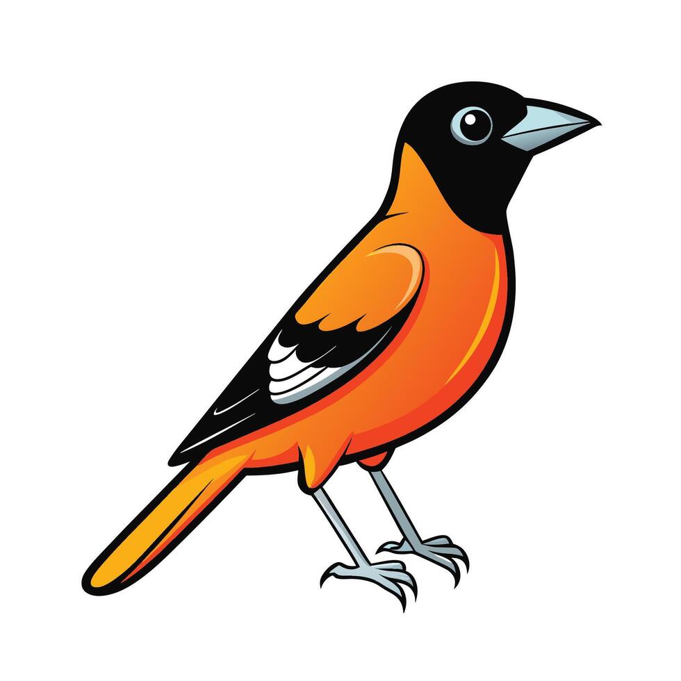 Baltimore Oriole Cartoon Bird with Distinctive Orange Plumage vector