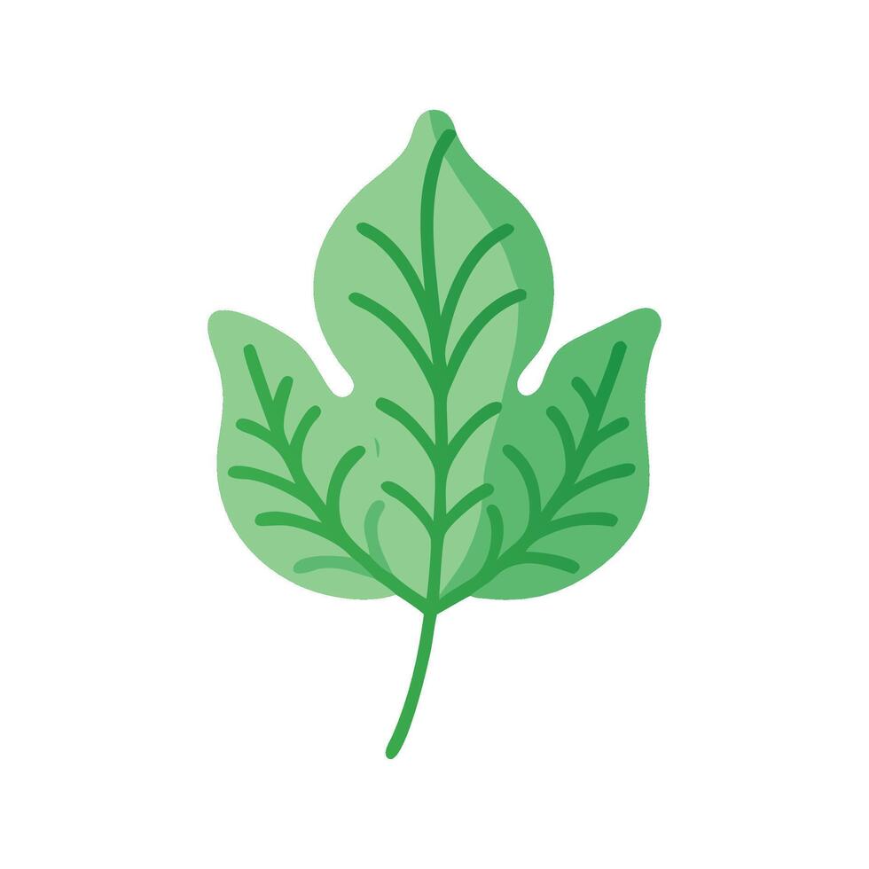 Stylized Light Green Leaf with Visible Veins on Black vector