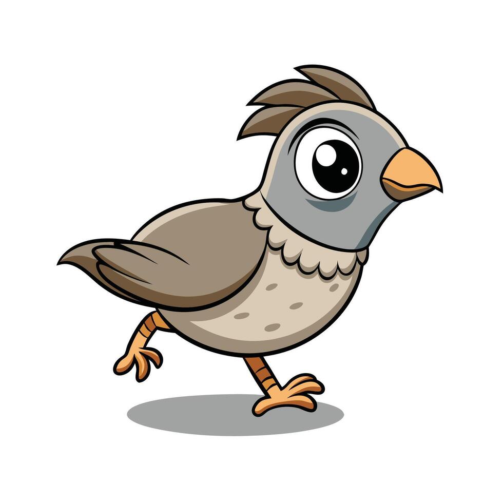 Cute Cartoon Quail Illustration Running on White Background vector