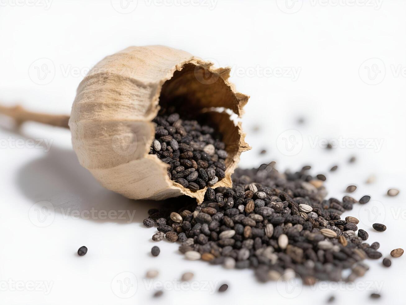 Close-up of chia seeds spilling from dried pod onto white surface with soft lighting photo