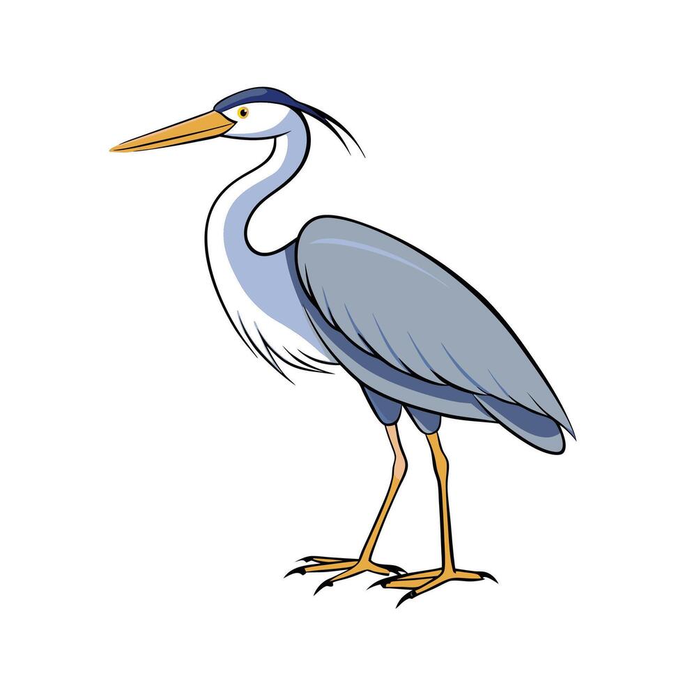 Cartoon Great Blue Heron Bird Illustration on White vector
