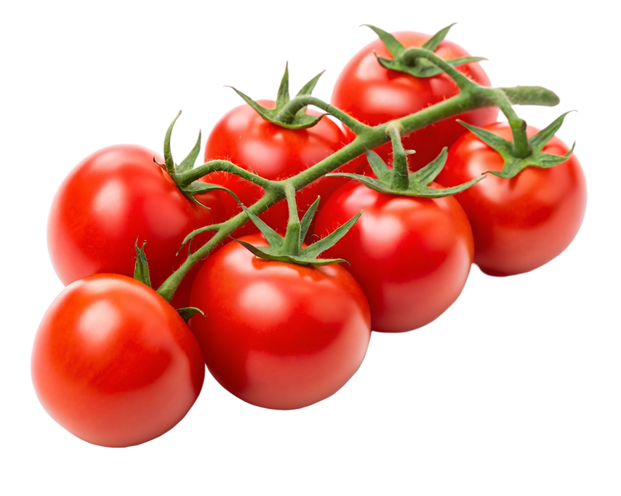 Fresh, red tomatoes on the vine, ready to eat. png