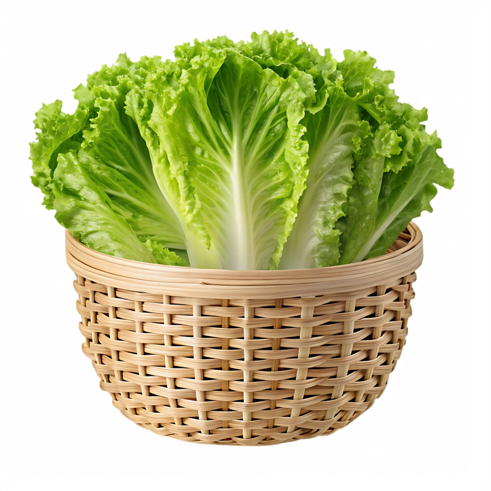 Fresh lettuce in a wicker basket png