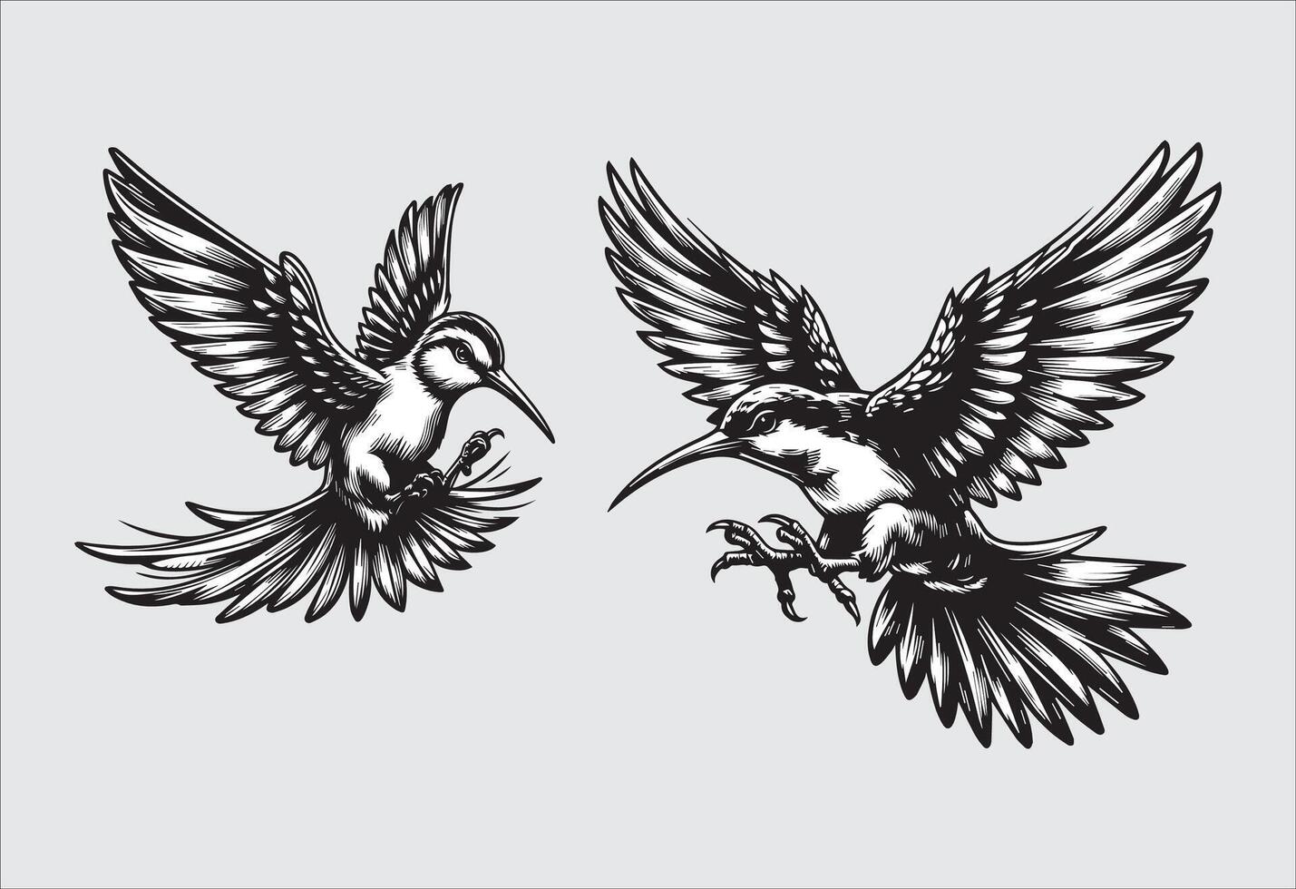 Illustration of a pair of Hummingbirds flying with a bird in its beak vector