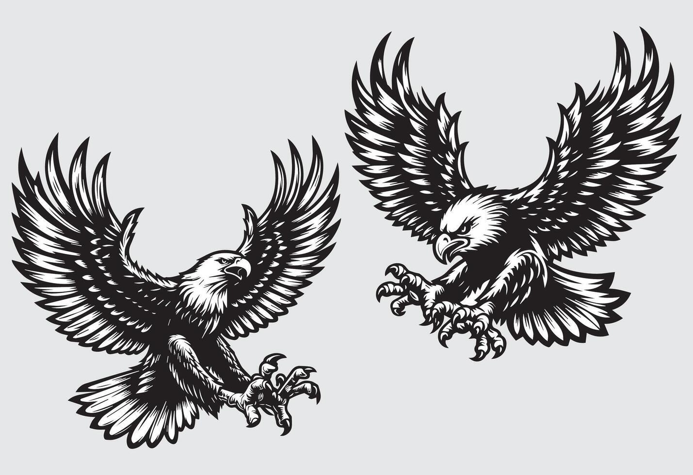Eagle with wings. illustration in black and white colors. vector