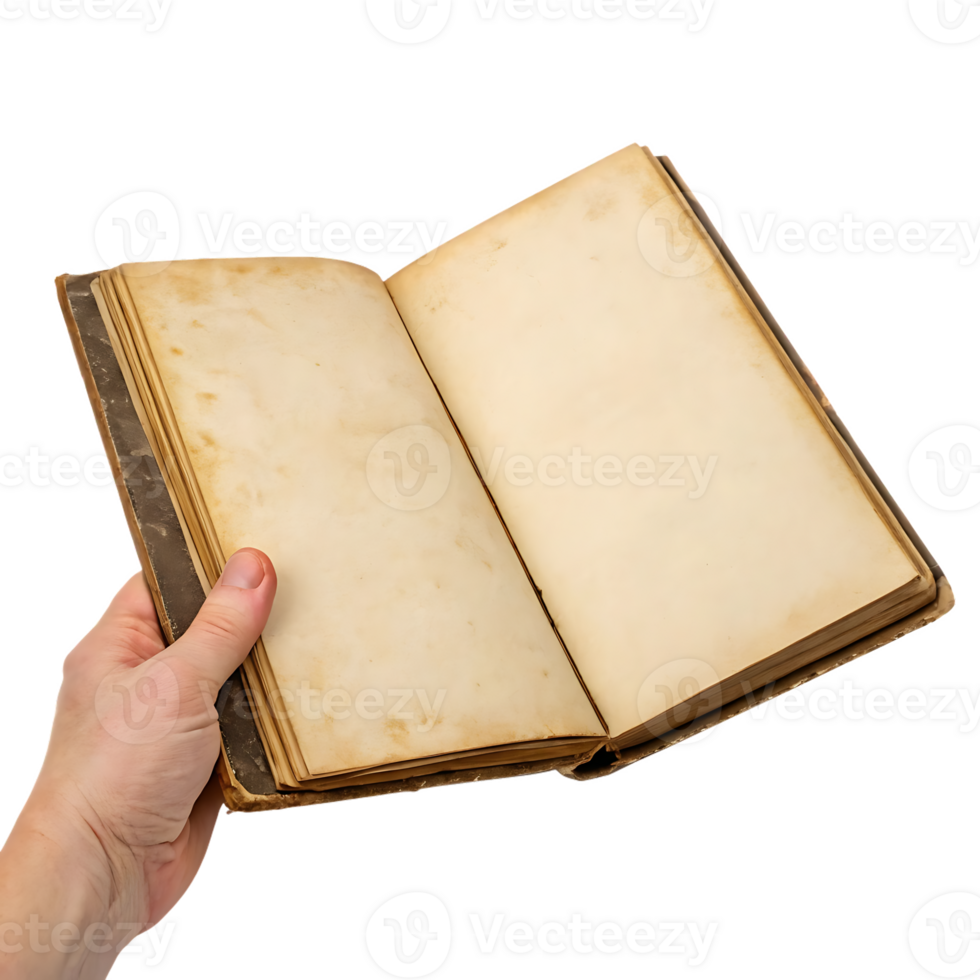 Hand holding an antique open book with blank pages. png