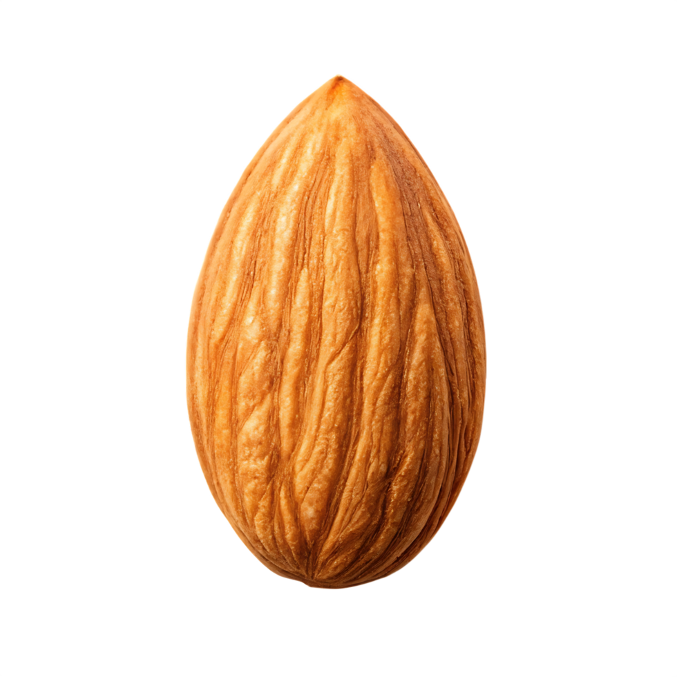 Single almond nut, close up view. png
