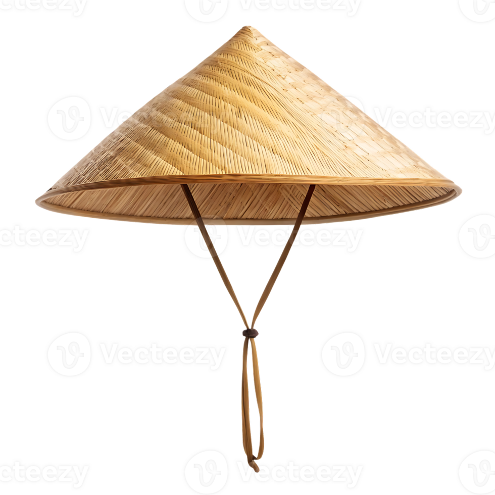 Traditional Asian conical hat png