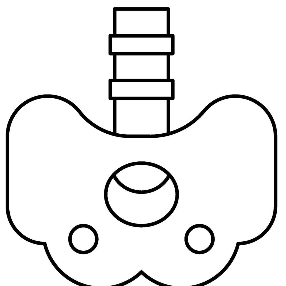 Pelvis outline icon vector