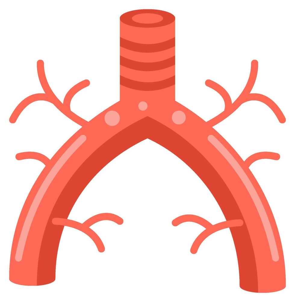 Bronchi flat icon vector