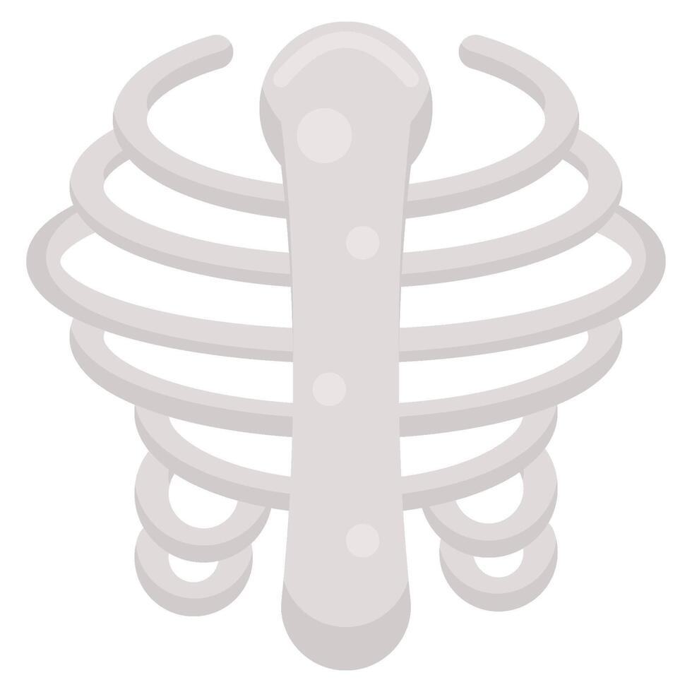 Rib cage flat icon vector