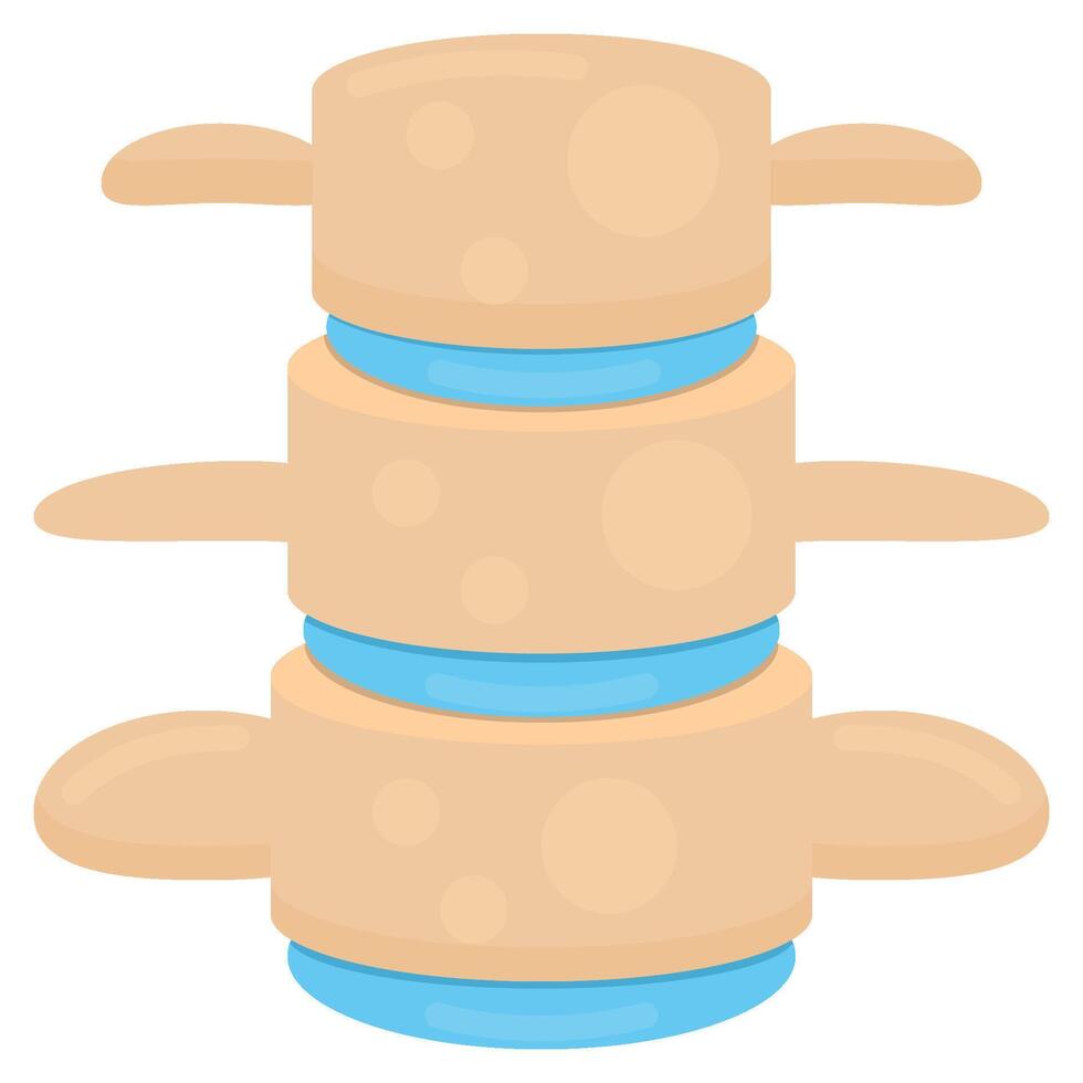 Spine flat icon vector