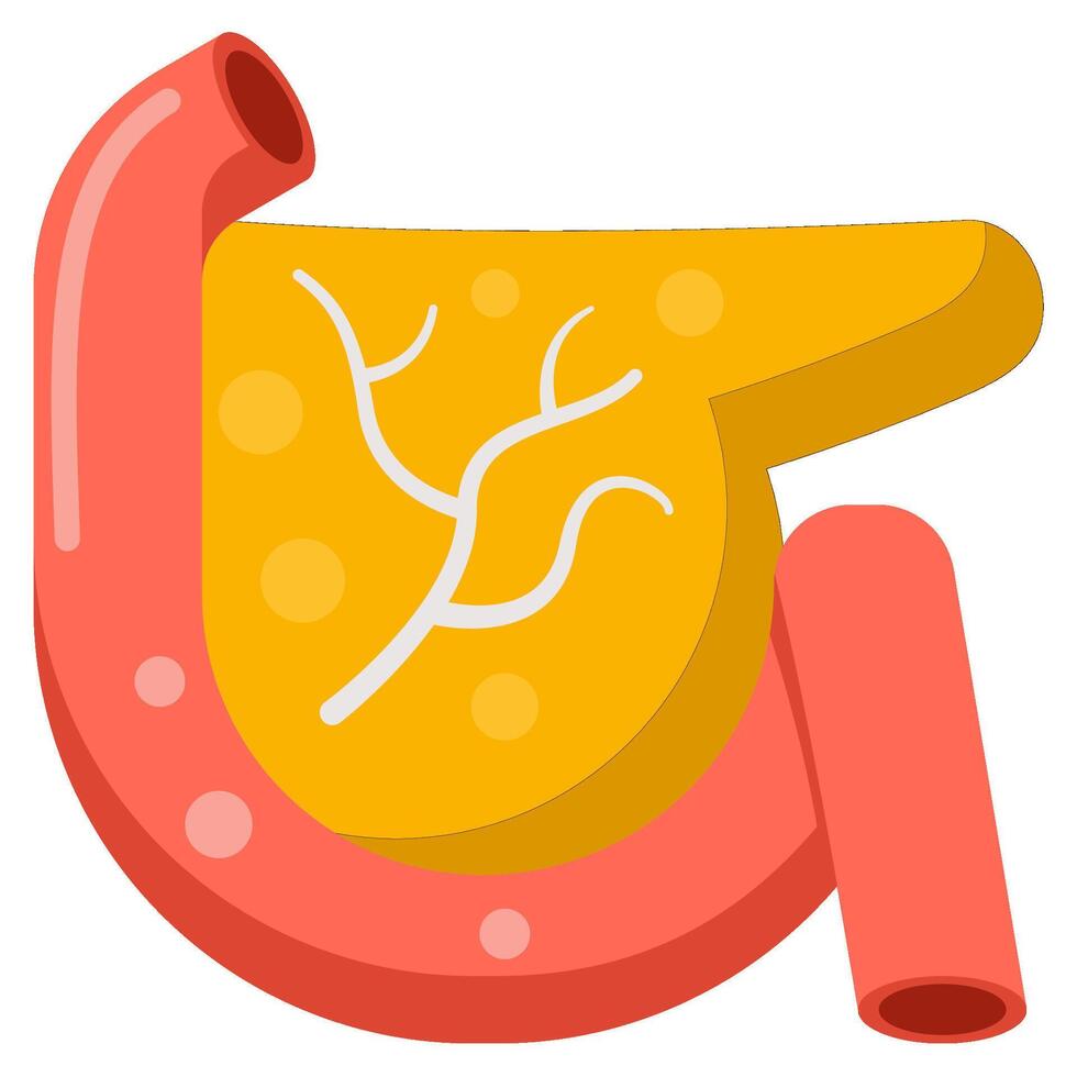 Pancreas flat icon vector