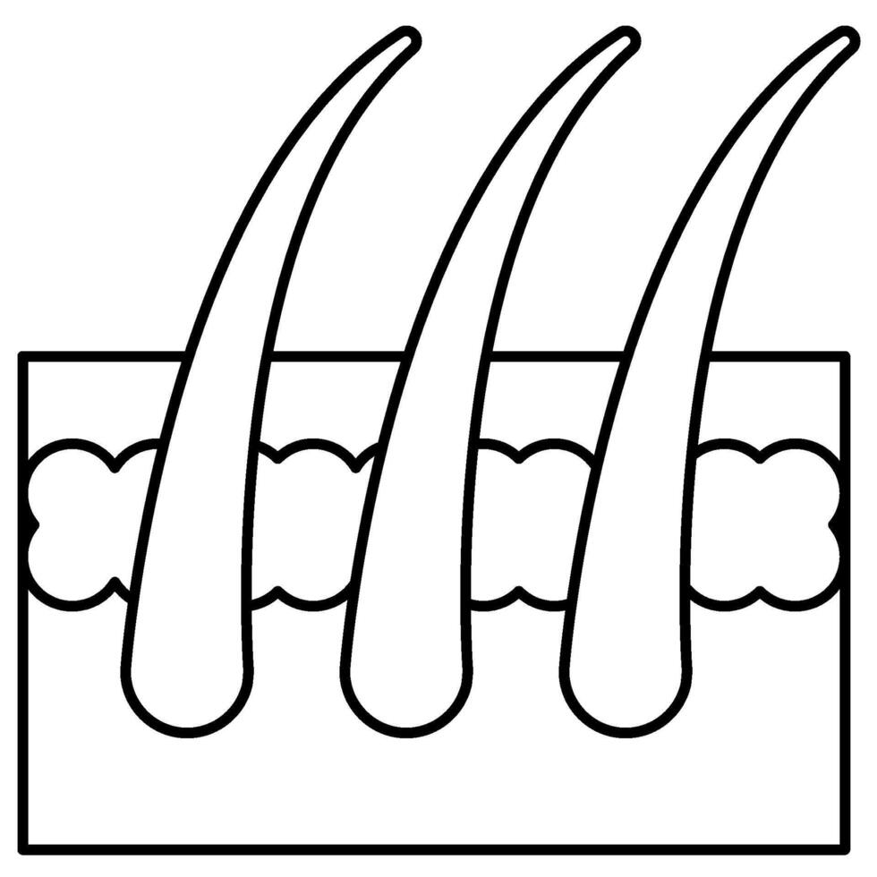 Skin anatomy icon vector
