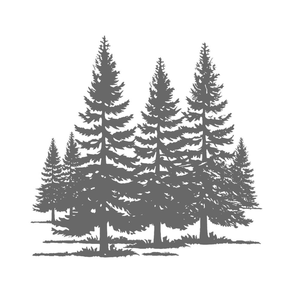 Pine forest design illustration vector