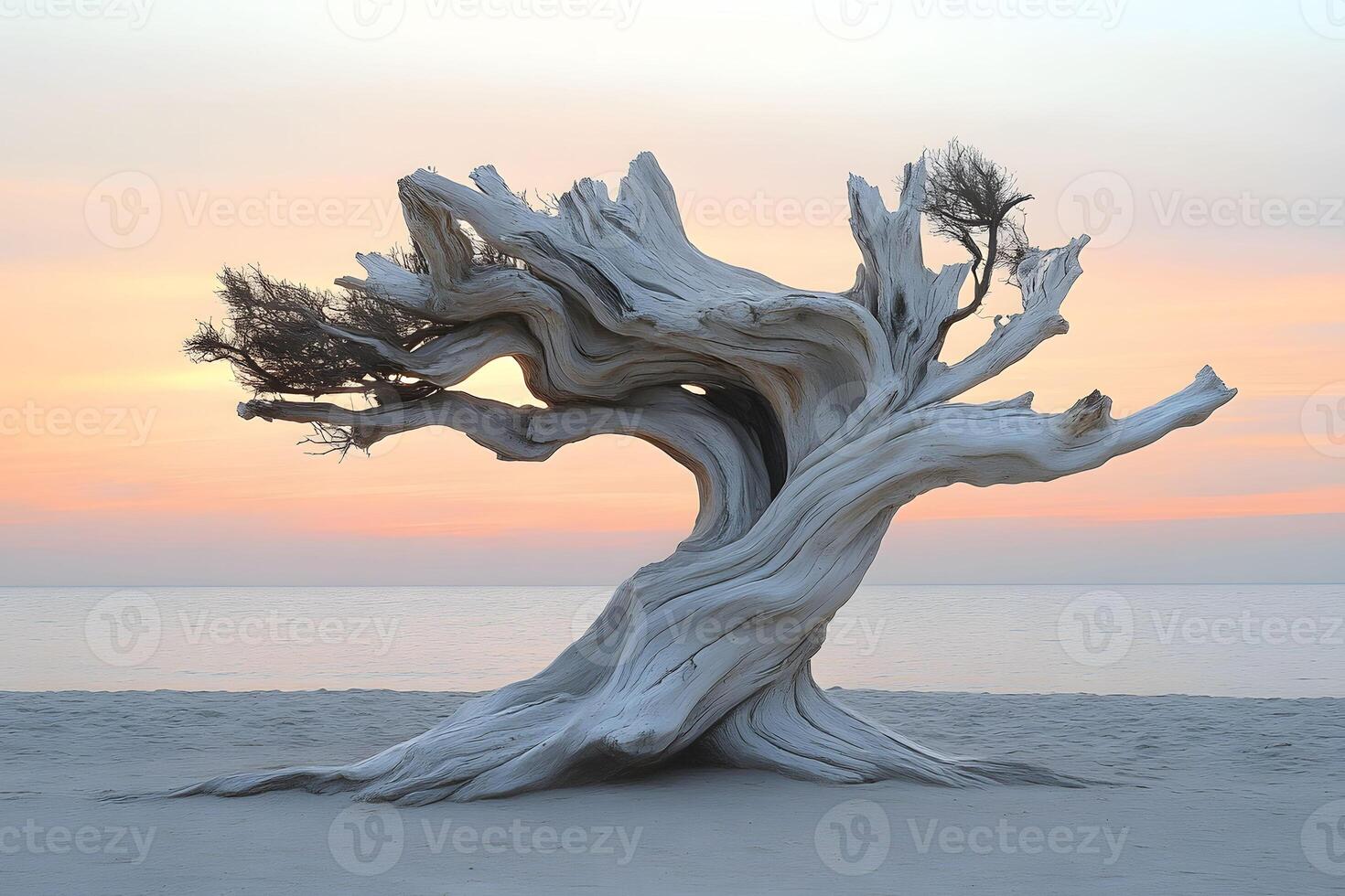 Serene Sunset with Windswept Tree by the Beach - Nature's Artistry in Tranquil Twilight photo