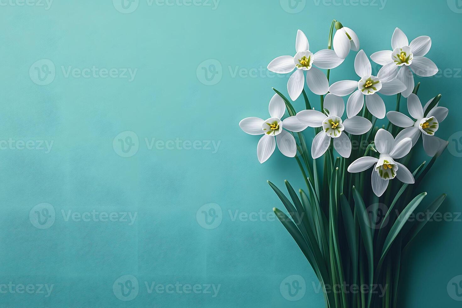 Elegant White Daffodils on Turquoise Background for Spring Decor and Design photo