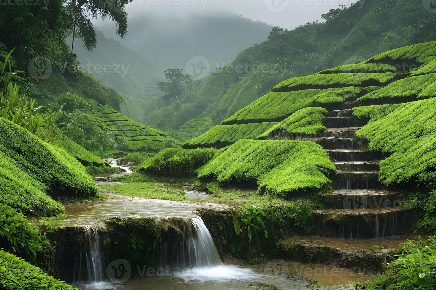 Tranquil Landscape of Lush Green Terrace Fields with Cascading Waterfalls photo