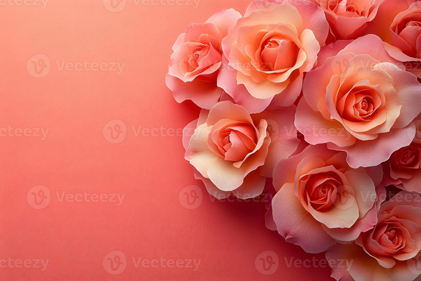 Elegant Pink Roses on Gradient Background for Romantic Floral Design photo