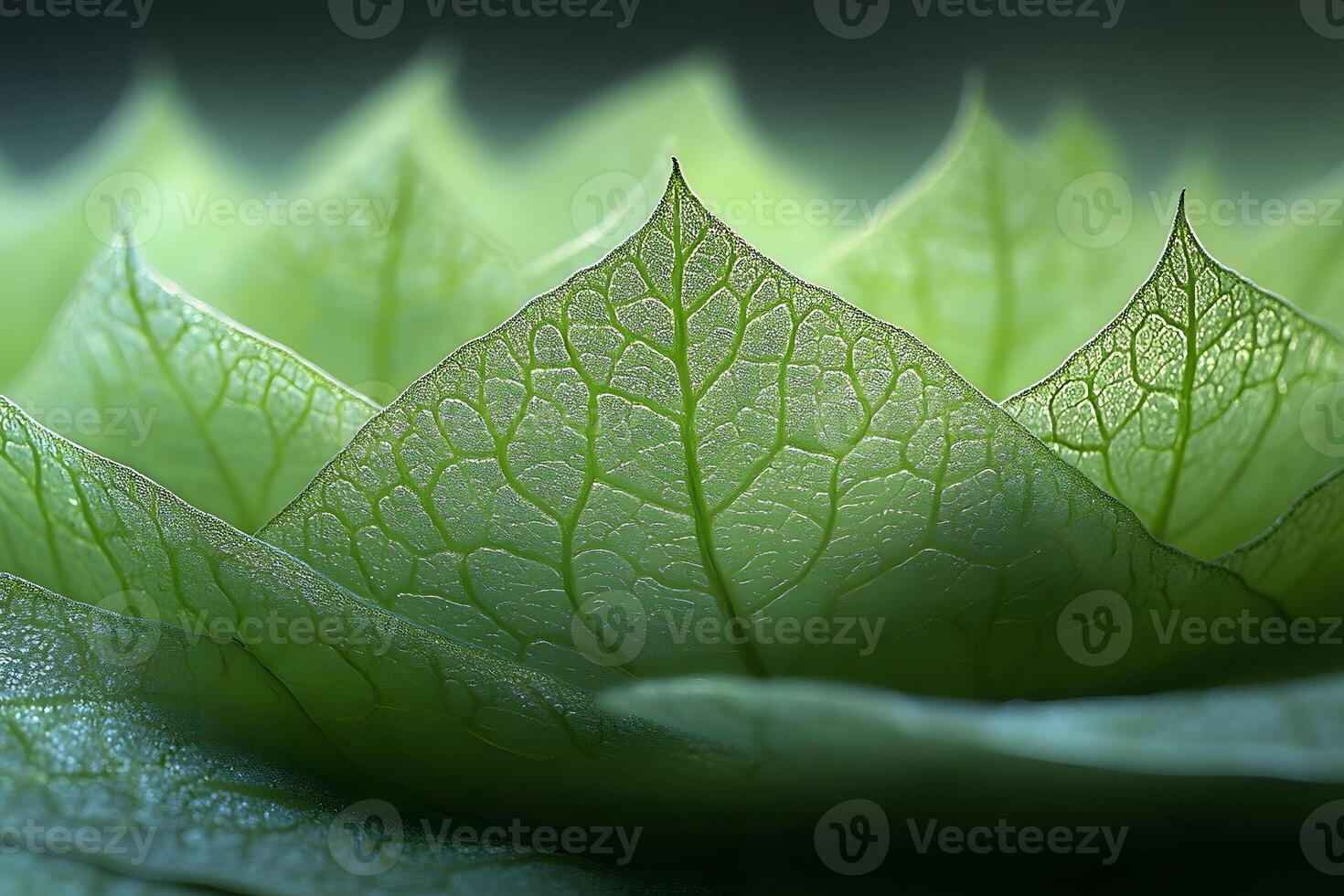 Abstract Close-Up of Leaf Veins Creating a Natural Green Landscape Design for Eco-Art Projects photo
