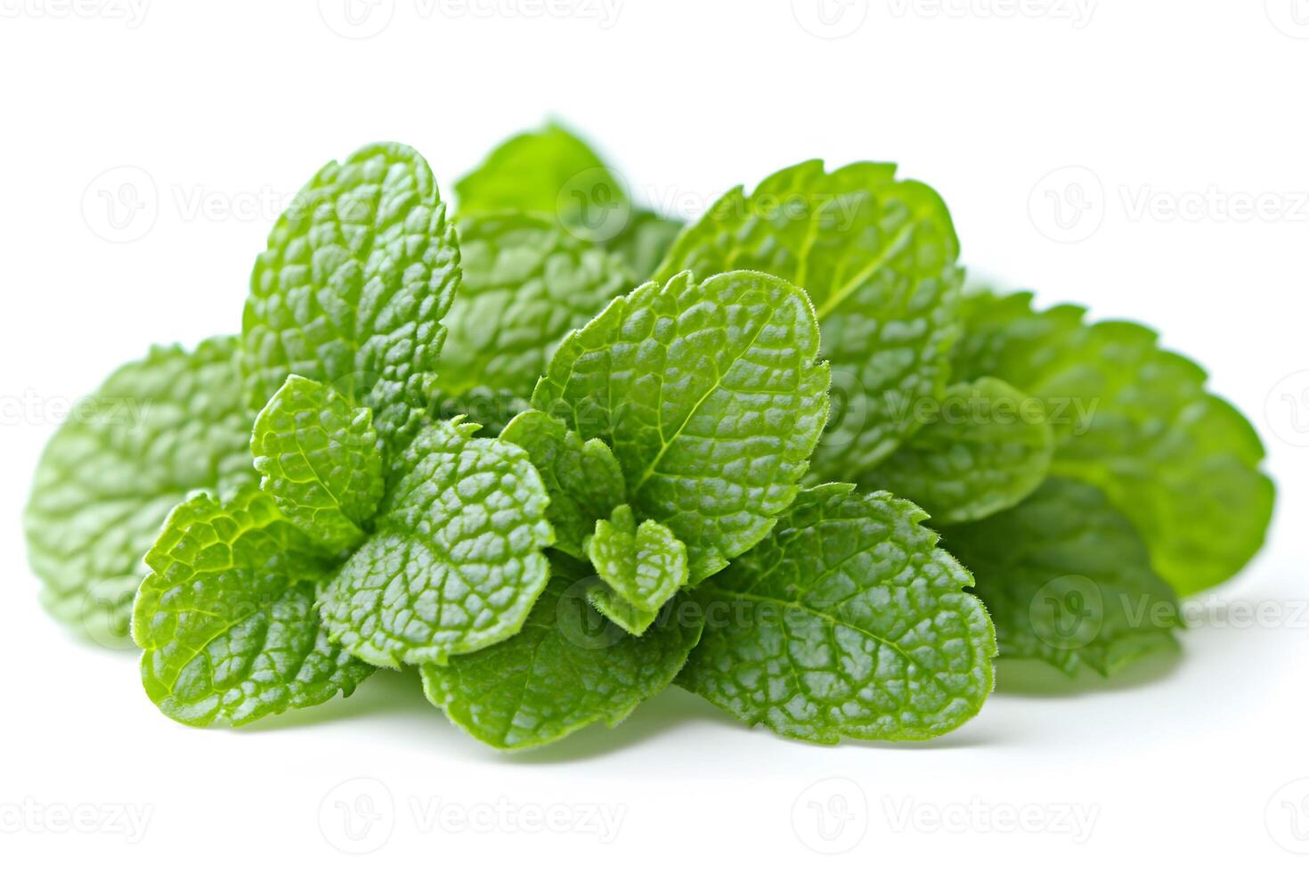 Fresh Mint Leaves Isolated on White Background for Natural Aromatherapy and Culinary Design photo