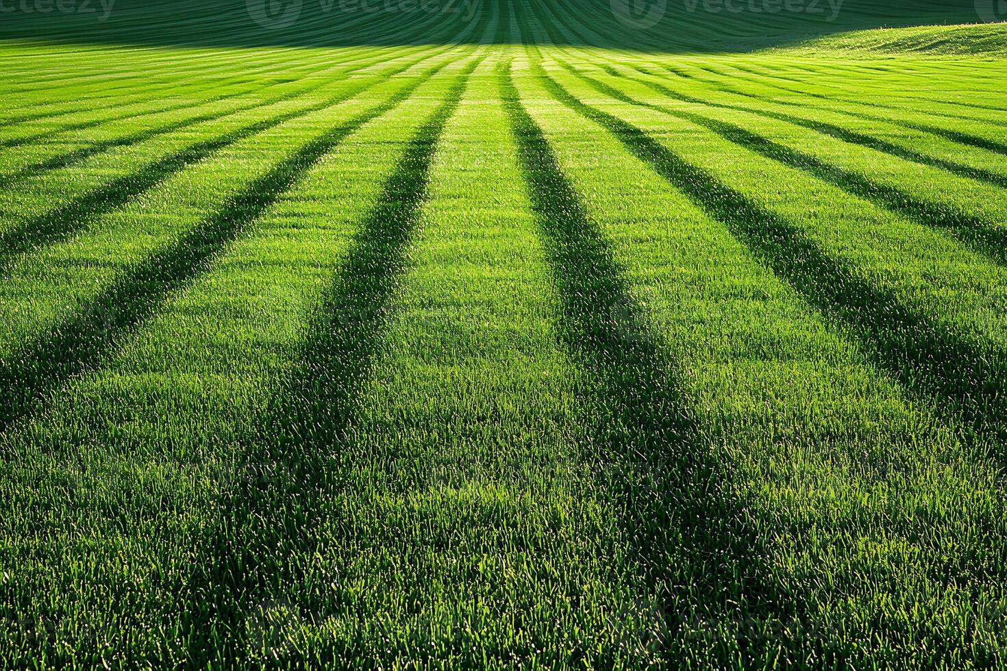 Lush Green Field with Long Shadow Patterns at Sunset for Nature and Landscape Design photo