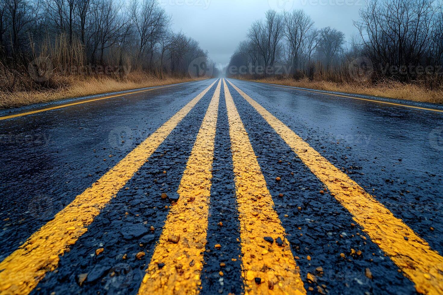 Moody Rural Highway in Winter - Overcast Atmosphere for Travel and Adventure Themes photo