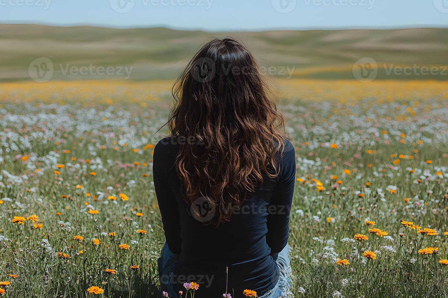 Tranquil Contemplation in a Vibrant Wildflower Field Under a Clear Sky photo